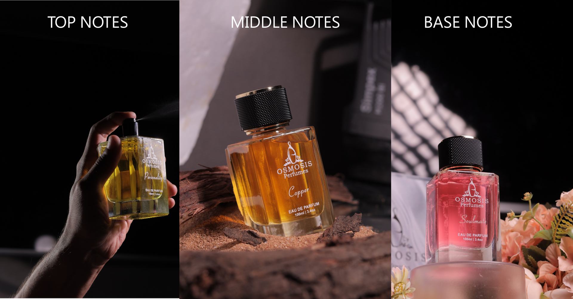 Perfume Notes Explained: Top, Middle & Base Notes