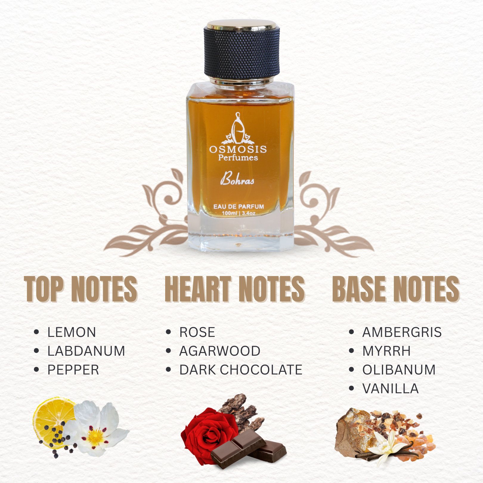 Bohras Noir: Evening Elegance with Rose, Dark Chocolate, and Ambergris