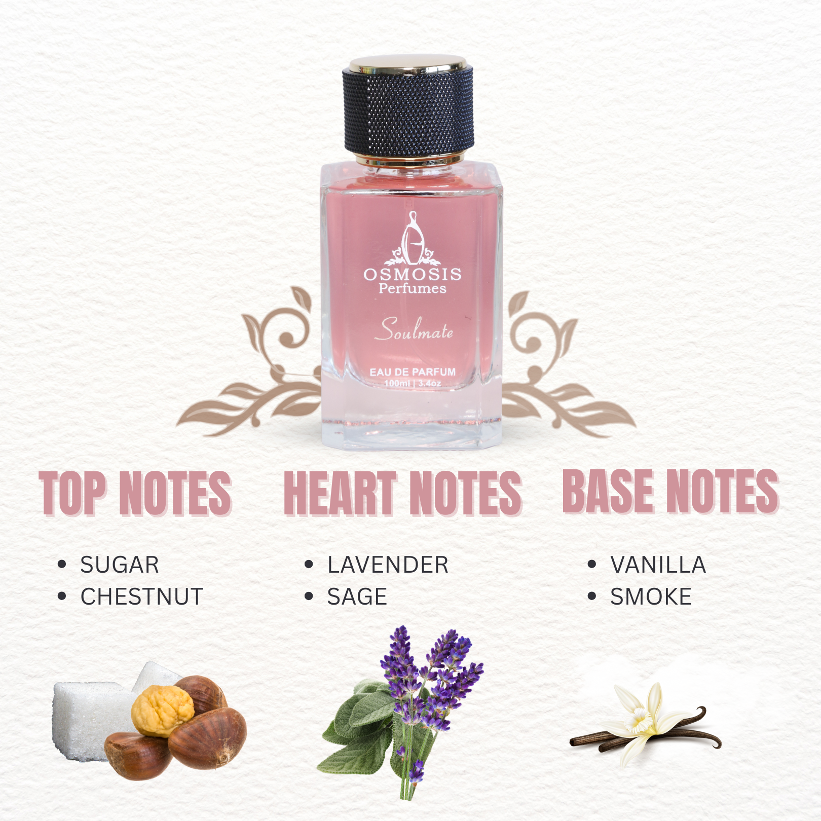 Soulmate: Aromatic Fougere Fragrance