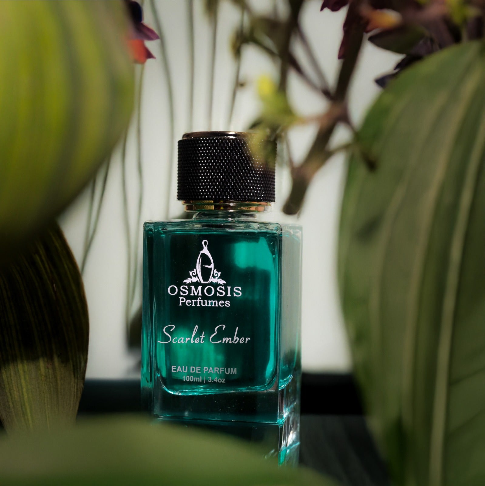 "Osmosis Perfumes Scarlet Ember – A rich and inviting scent with notes of musk and ember, ideal for cozy nights."

