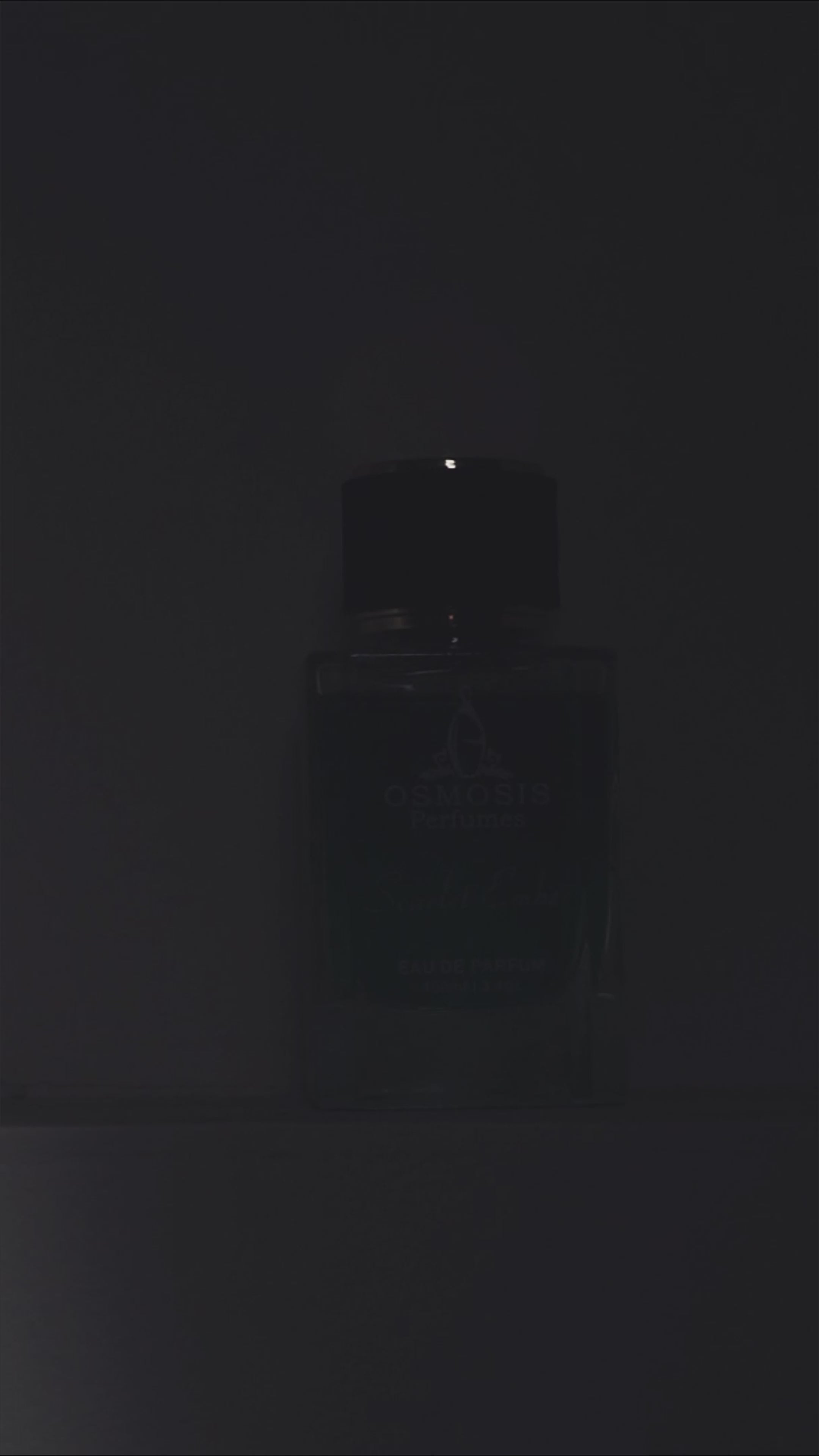 Scarlet Ember: Musky Ember & Floral